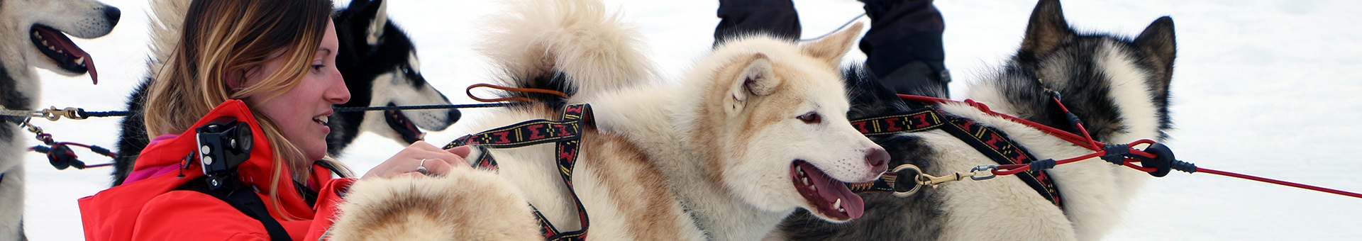 Activités animaux Hiver 