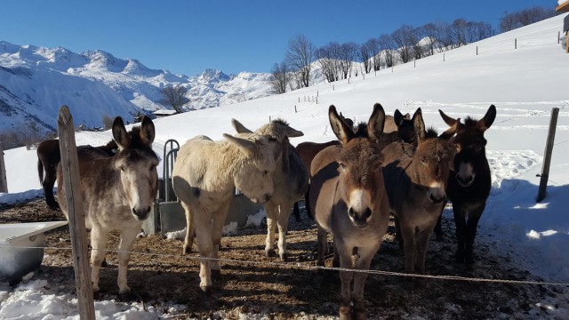 Visites, excursions