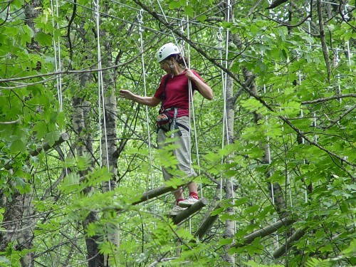 Trees climbing