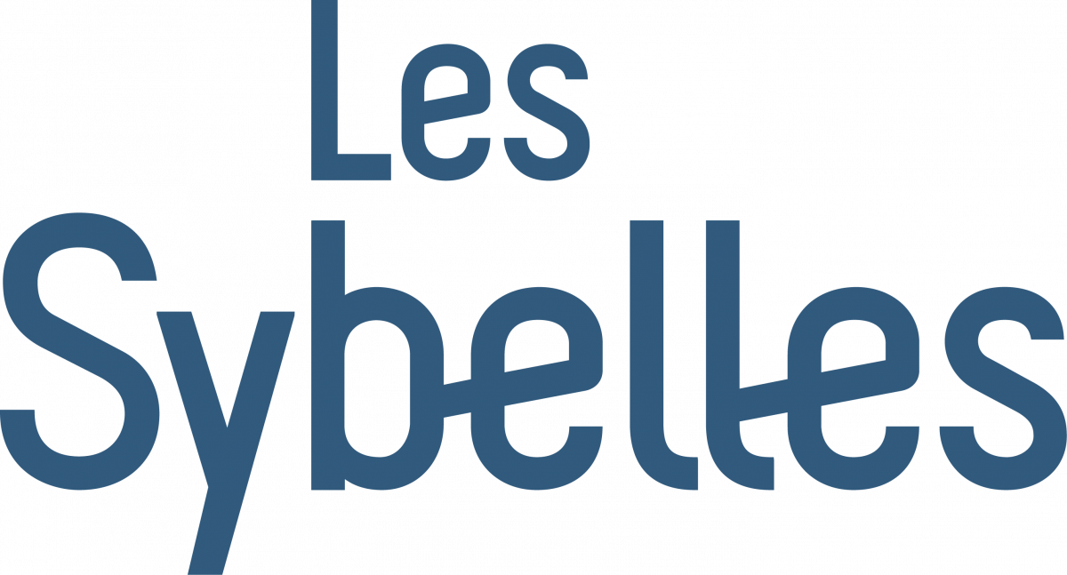 88420les-sybelles-logo-bleu-vertical-974