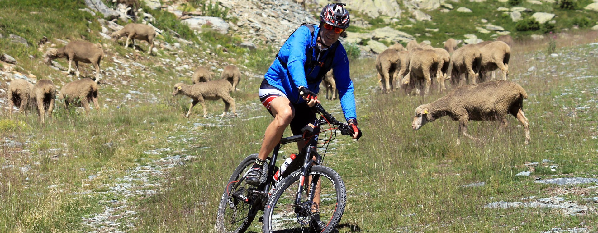 Bike trails in the arves moutains