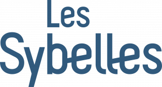 88420les-sybelles-logo-bleu-vertical-974