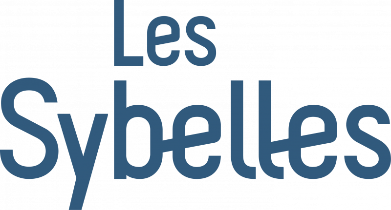 88420les-sybelles-logo-bleu-vertical-974