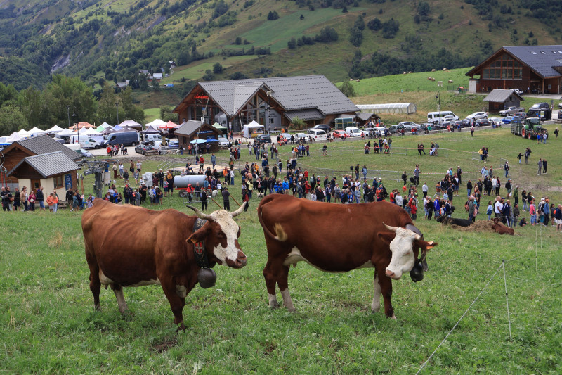 Foire aux Bestiaux 2024