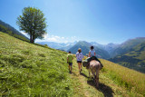 ânes en montagne
