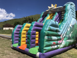 image00001.jpeg