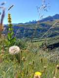 Naturopathe