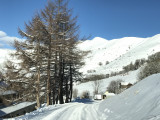 img_0511.jpg