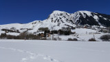 20160310_130334.jpg