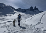 Balade canine - Dog sitting_Saint-Jean-d'Arves