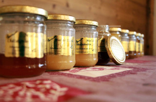 Pots de miel dégustation
