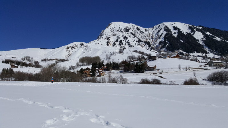 20160310_130334.jpg