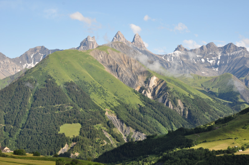 dsc_0164.jpg dsc_0164.jpg