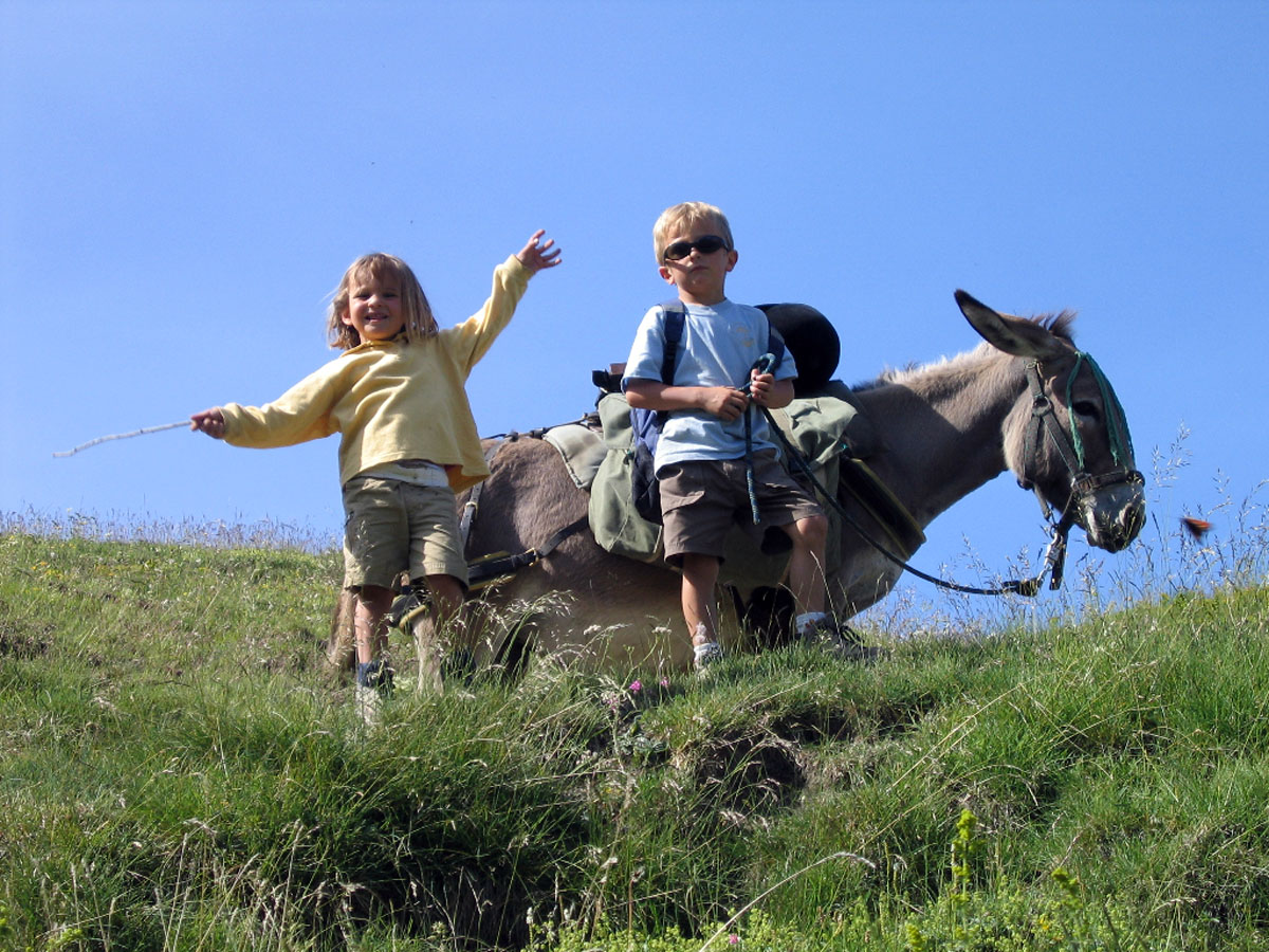 Wandeling met ezels in zonovergoten dorpje