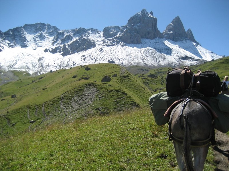 Panoramic walk with donkeys o discover the beautiful view on the Aiguilles d'Arves