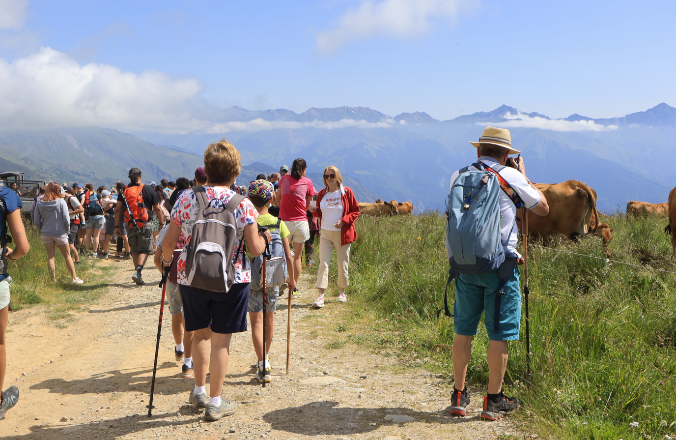 Melken op de alpenweide