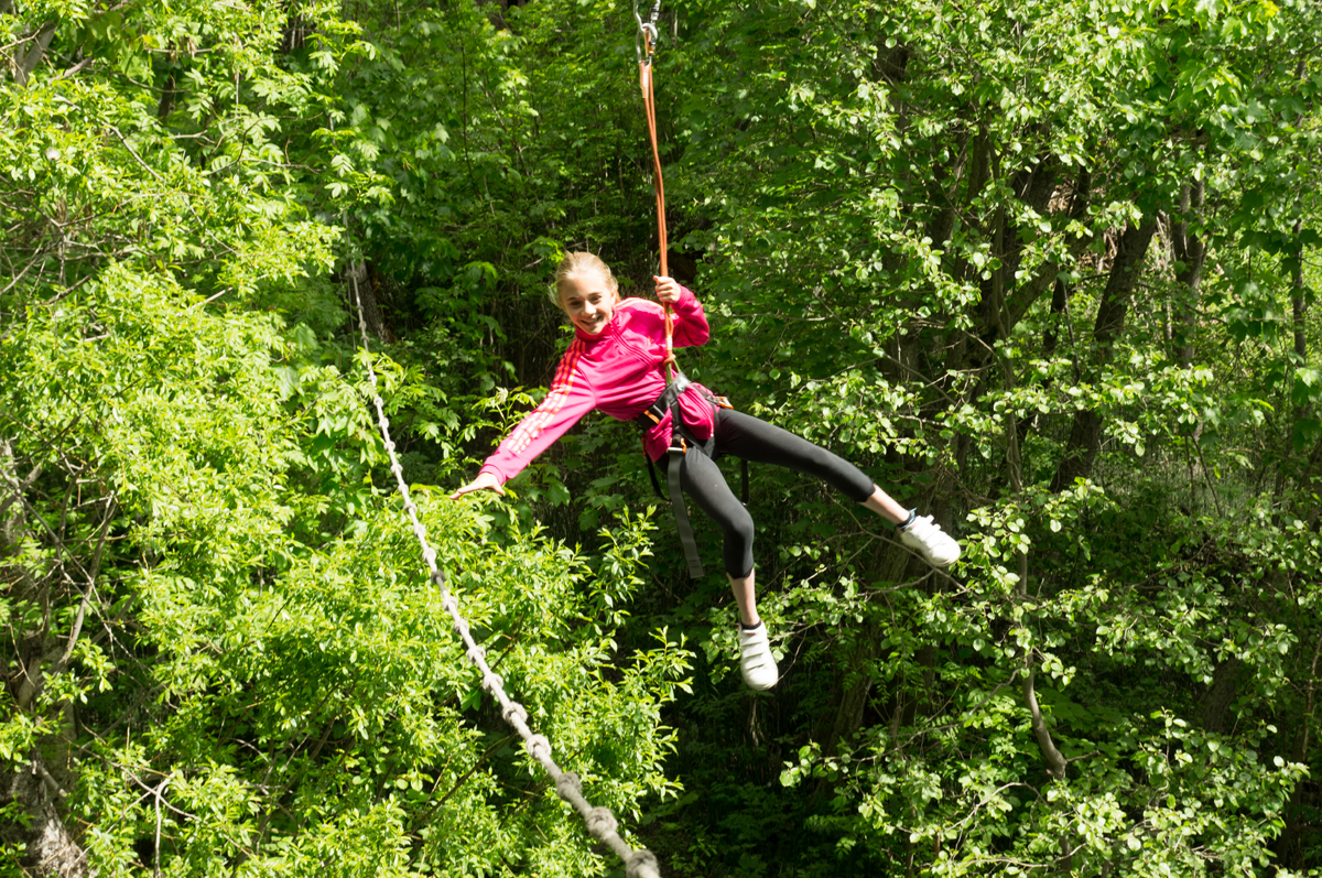 Forest courses in height