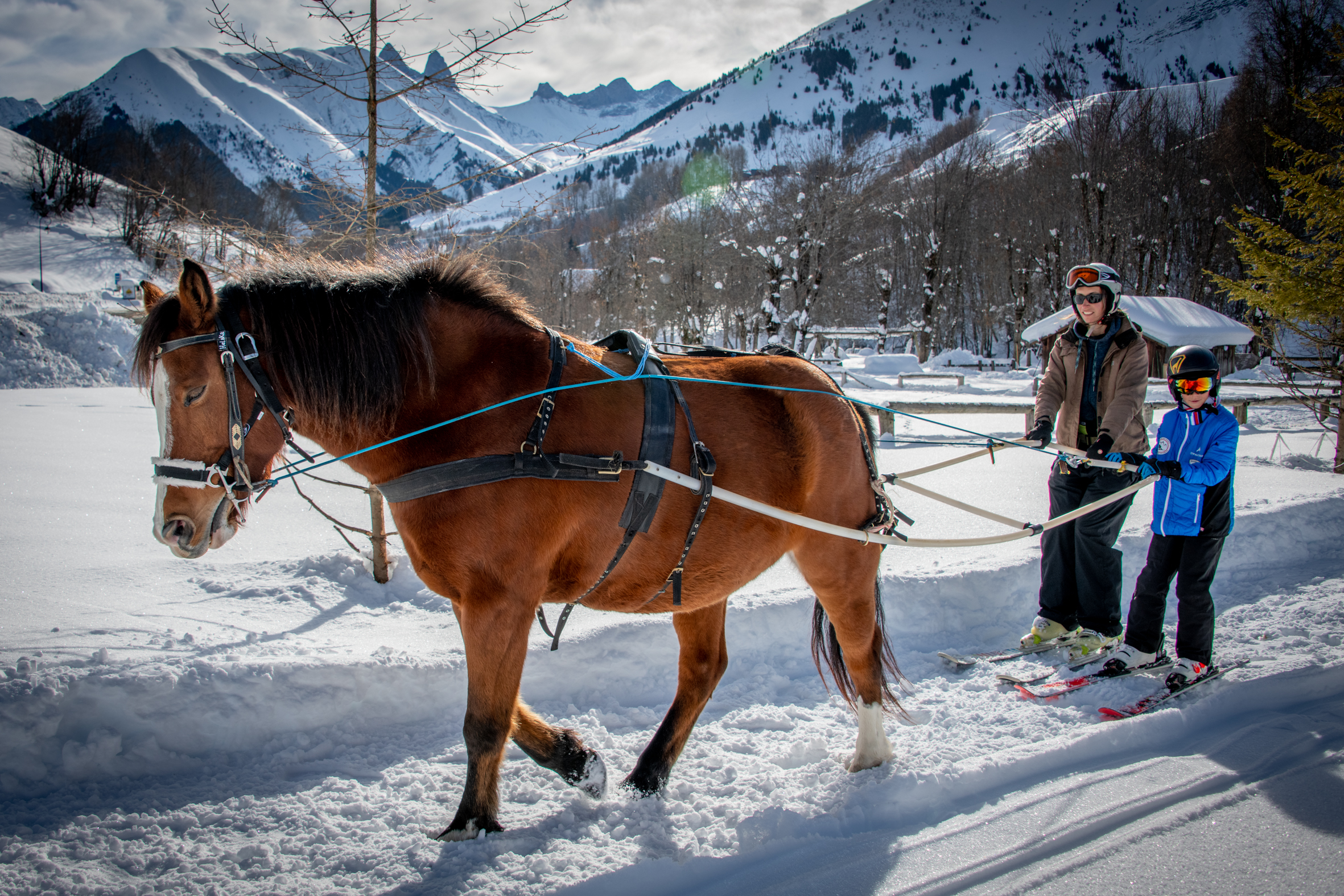 Skijoering and Pony Sledging - Cavaliers des Arves