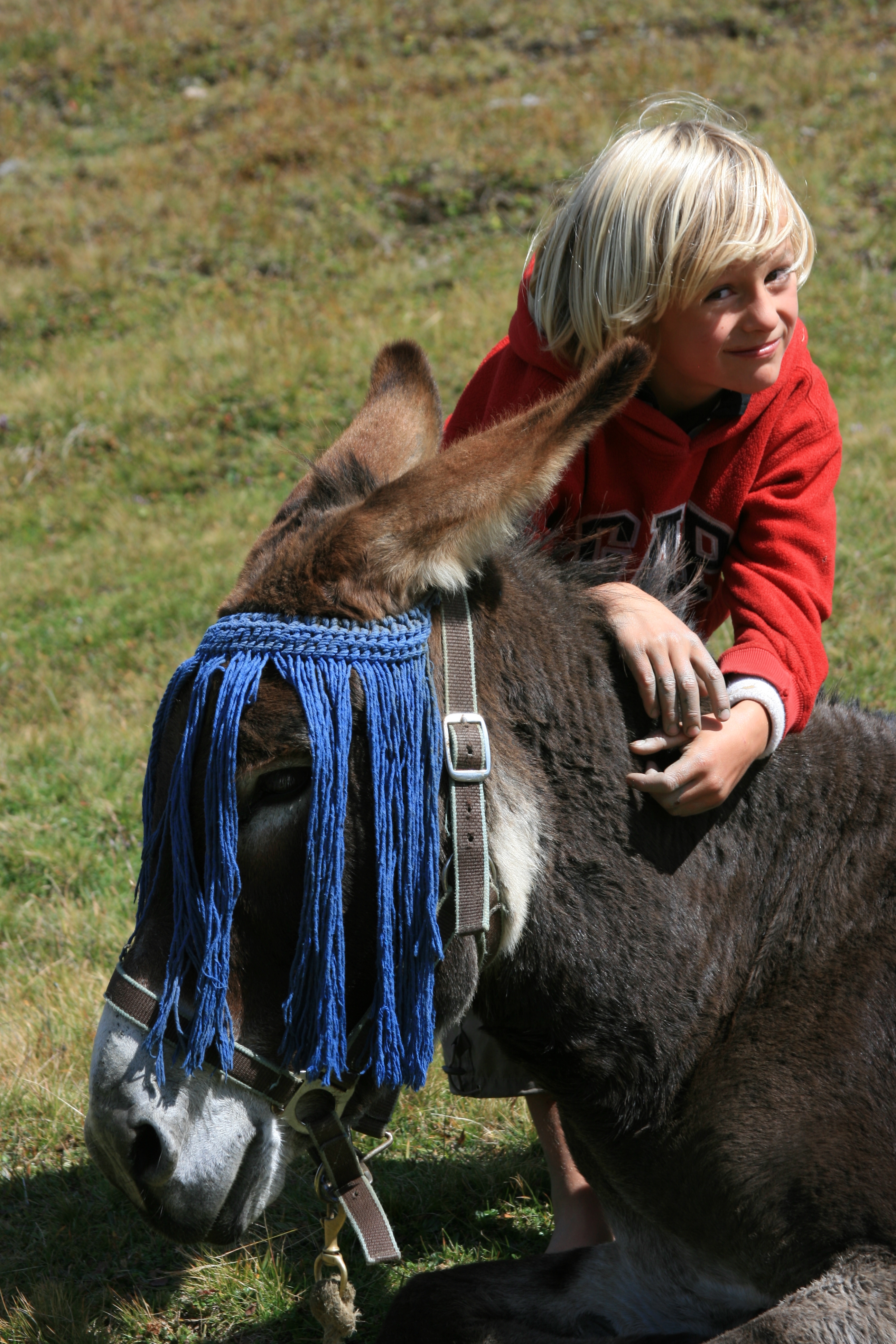 Family discovery at the donkey farm.