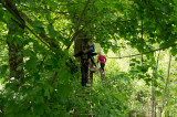 Arvanture - Parcours Forestier à Saint Sorlin d'Arves - Domaine des Sybelles