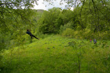 Arvanture - Parcours Forestier à Saint Sorlin d'Arves - Domaine des Sybelles