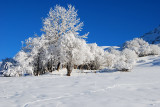 Semaine grandeur nature