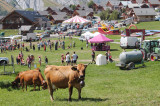 Foire au bestiaux Saint Jean d'Arves 1