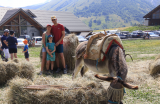Fête des foins_Saint-Jean-d'Arves