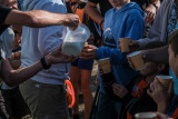 Dégustation de lait bourru de la traite