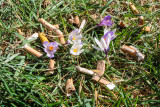 Ramassage des déchets