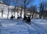 Randonnées et balades à cheval