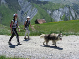 Personnes avec un chiens pratiquant la cani rando