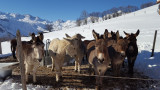 Visuel hiver