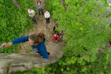 Parcours Forestier Parcours Forestier