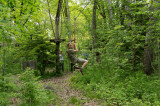 Parcours Forestier Parcours Forestier