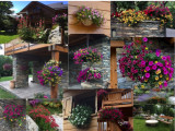 15_mosaique.jpg 15_mosaique.jpg