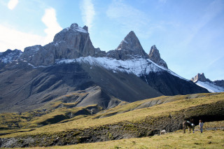 Anes en montagne