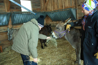 La médiation asine_Saint-Jean-d'Arves