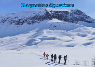 Randonnées raquettes sportives