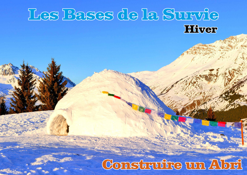 c_bases_de_la_survie_construire_abri.jpg