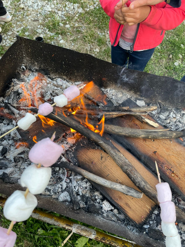 Mashmallows grillés à la soirée barbeuc