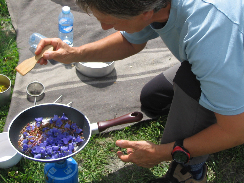 Usage culinaire des plantes de montagne