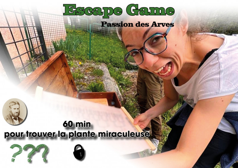 sortie escape game