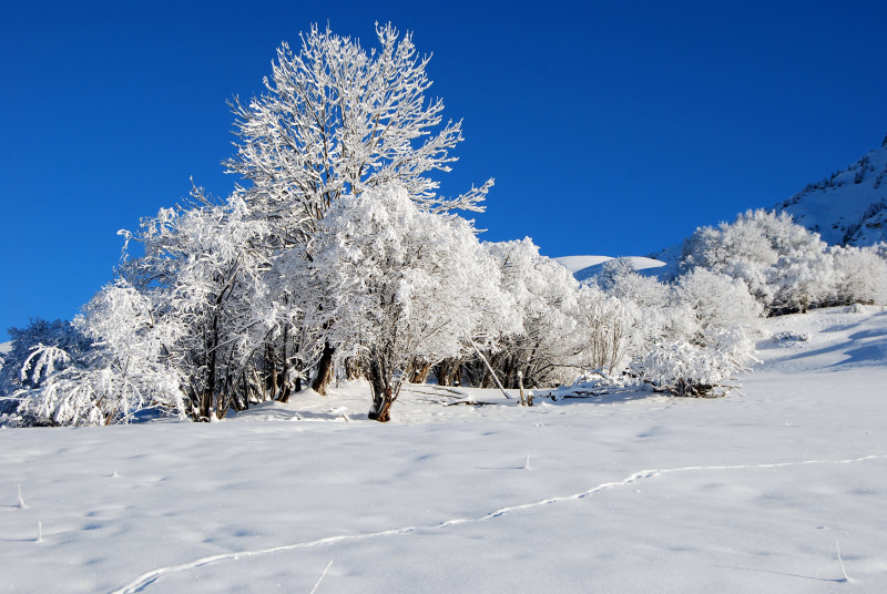 Semaine grandeur nature