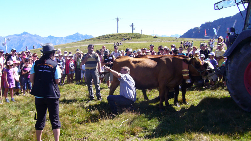 Alpage en fête au Crêt de Pralud