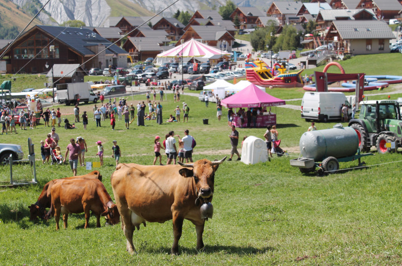 Foire au bestiaux Saint Jean d'Arves 1