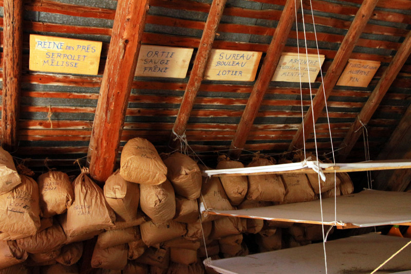 Tour of the plant drying facility - interior - © OT Saint Jean d'Arves Tour of the plant drying facility - interior
