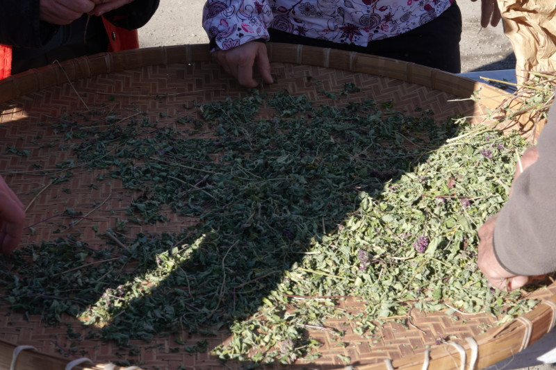 Tour of the plant drying facility - dried plants - © OT Saint Jean d'Arves Tour of the plant drying facility - dried plants