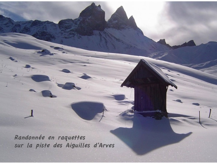 13_raquettes_aiguilles.jpg 13_raquettes_aiguilles.jpg