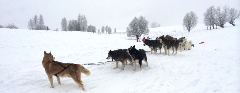 La maison d'Augustin